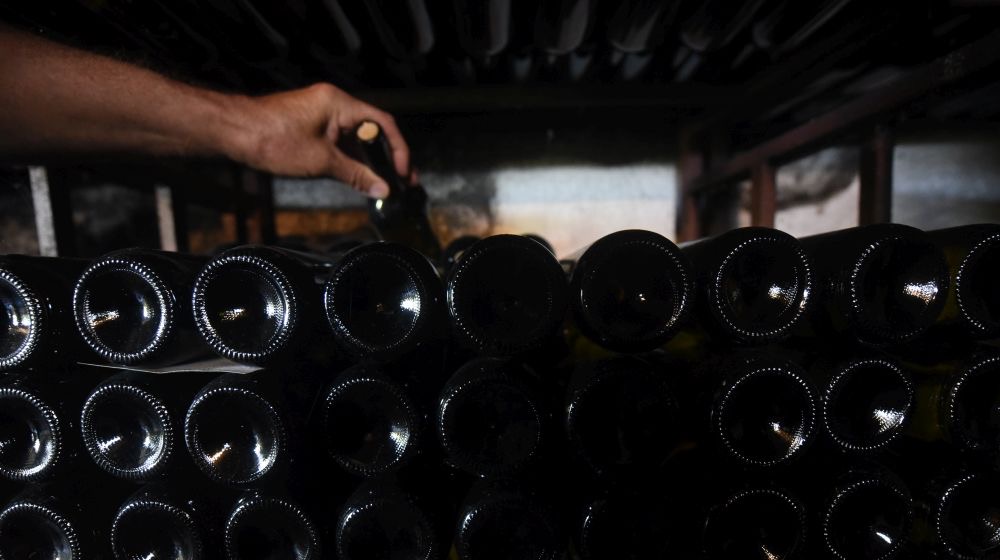 Steklenice v domači kleti Vinogradništva Namurš.